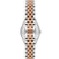 Polo Stainless Steel for Ladie's BP3595X.530