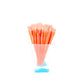 Portable Makeup Brushes Set 10pcs - Orange | Perfect for Flawless Makeup