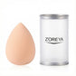 ZOREYA Hydrophilic Makeup Sponge – Soft, Expandable & Flawless Finish | Lotshop.pk